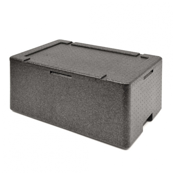 CONTENEDOR ISOTERMICO BASICO GN 1/1